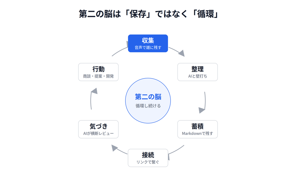 図1_循環サイクル-1024x627 生成AI×Obsidian×Google Driveで作る「第二の脳」——保存ではなく循環させるナレッジ管理術